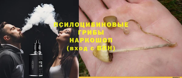 PSILOCYBIN Алексеевка